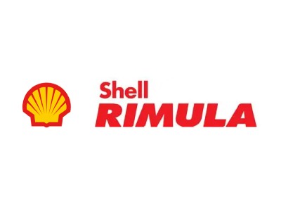 Shell Rimula